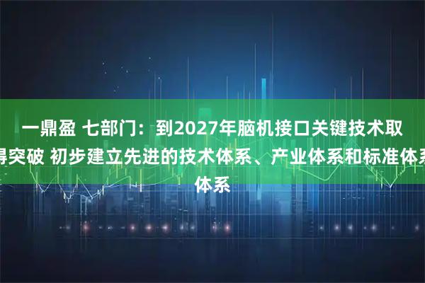 一鼎盈 七部门：到2027年脑机接口关键技术取得突破 初步建立先进的技术体系、产业体系和标准体系