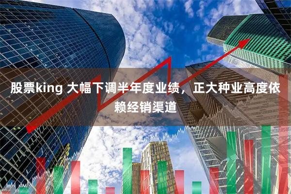 股票king 大幅下调半年度业绩,正大种业高度依赖经销渠道