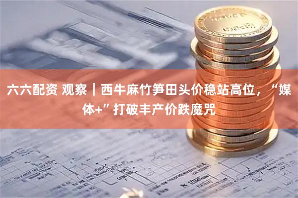 六六配资 观察｜西牛麻竹笋田头价稳站高位，“媒体+”打破丰产价跌魔咒